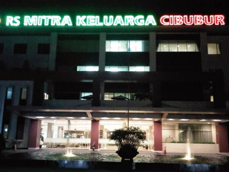 Jasa Seo Cibubur Arcorpweb
